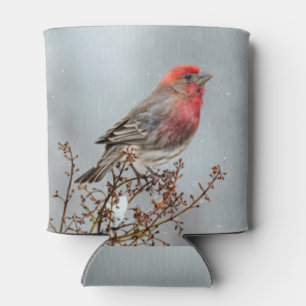 House Finch in Snow - Original Foto Dosenkühler