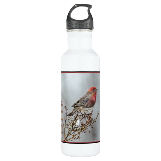 House Finch in Snow - Original Foto Edelstahlflasche (Vorderseite)