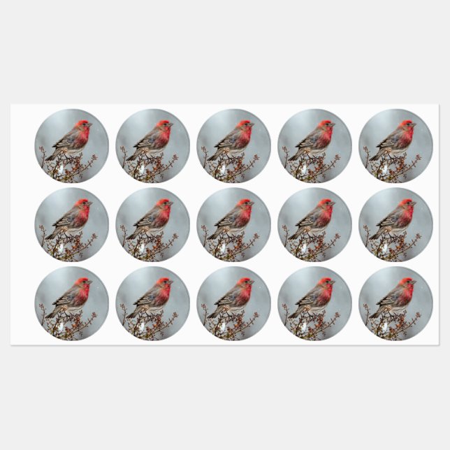 House Finch in Snow - Original Foto Etiketten (Blatt)