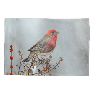 House Finch in Snow - Original Foto Kissenbezug