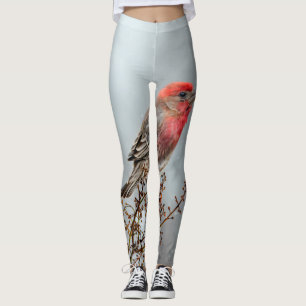 House Finch in Snow - Original Foto Leggings