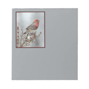 House Finch in Snow - Original Foto Notizblock