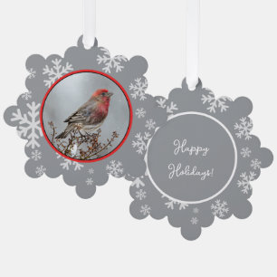 House Finch in Snow - Original Foto Ornament Karte
