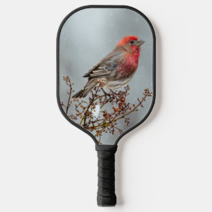 House Finch in Snow - Original Foto Pickleball Schläger