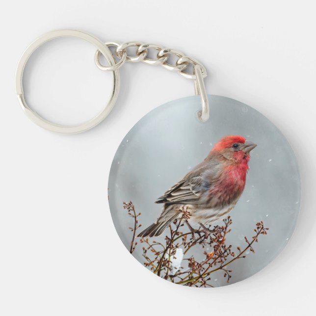 House Finch in Snow - Original Foto Schlüsselanhänger (Vorderseite)