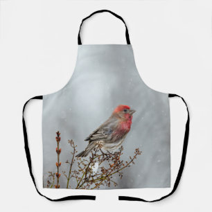 House Finch in Snow - Original Foto Schürze