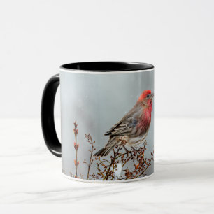 House Finch in Snow - Original Foto Tasse