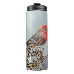 House Finch in Snow - Original Foto Thermosbecher