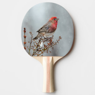 House Finch in Snow - Original Foto Tischtennis Schläger