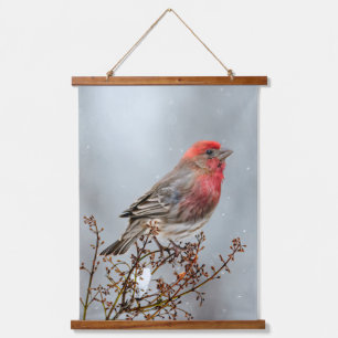 House Finch in Snow - Original Foto Wandteppich Mit Holzrahmen