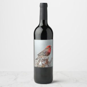 House Finch in Snow - Original Foto Weinetikett
