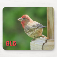 House Finch mit Ihren Initialen