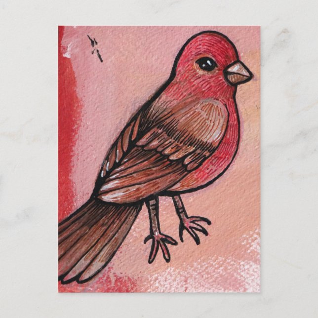 House Finch Postkarte (Vorderseite)