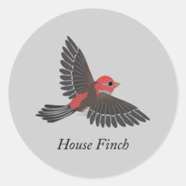 House Finch Runder Aufkleber