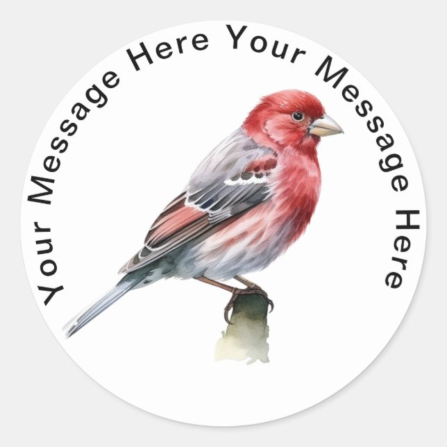 House Finch Runder Aufkleber (Vorderseite)