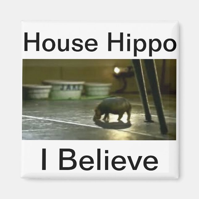 House Hippo Magnet (Vorne)