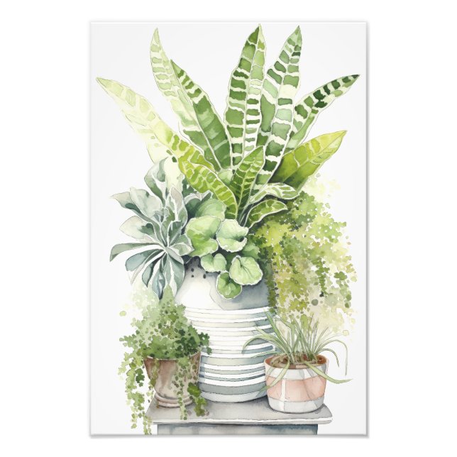 House Plants Fotodruck (Vorne)