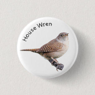 House Wren Button