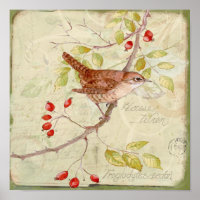 House Wren Collage