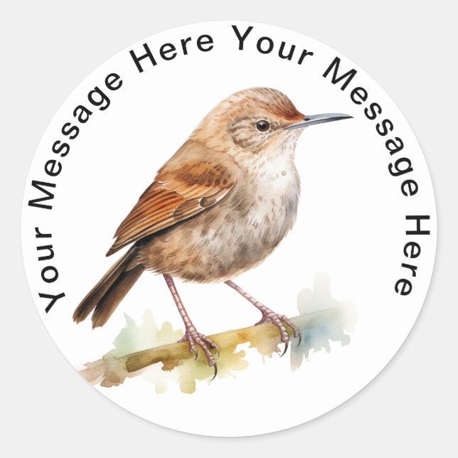 House Wren Runder Aufkleber (Vorderseite)