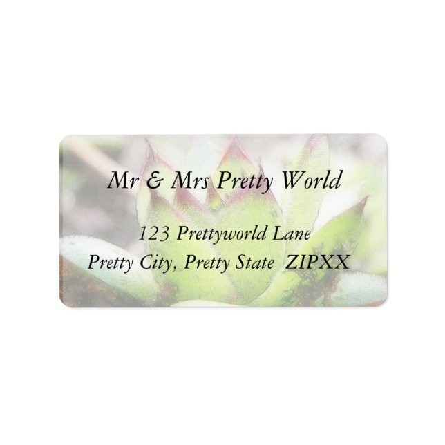 Houseleek - Sempervivum Adressaufkleber (Vorne)