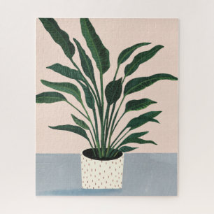 Houseplant