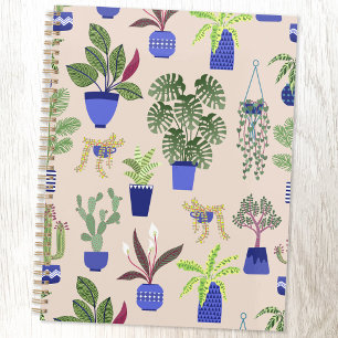 Houseplants Cactus Succulent Motif rose pâle