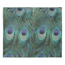 Plumes d'un beau vert de paon