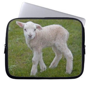 Housse d'ordinateur Little Lamb
