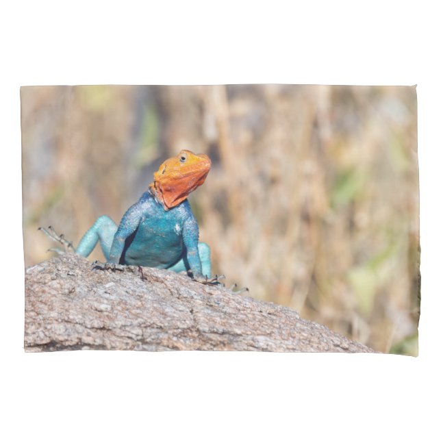 Housse D'oreillers Agama commun (devant)