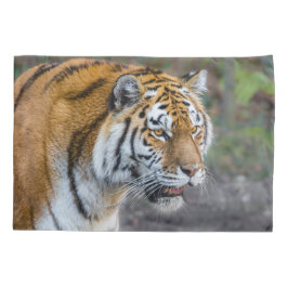 Housse D'oreillers Amur tiger