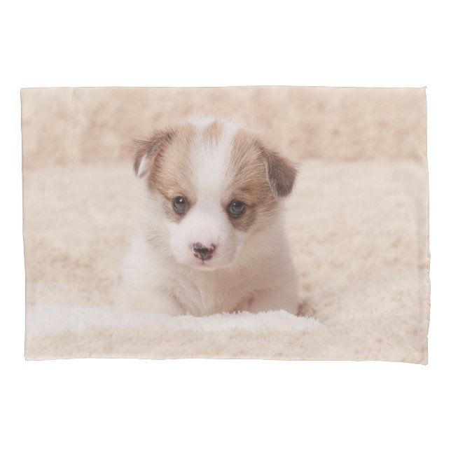 Housse D'oreillers Animaux de bébés cutest | Baby Corgi (devant)