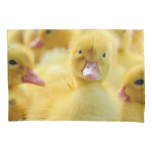 Housse D'oreillers Animaux de bébés cutest | Baby Duck Group (devant)