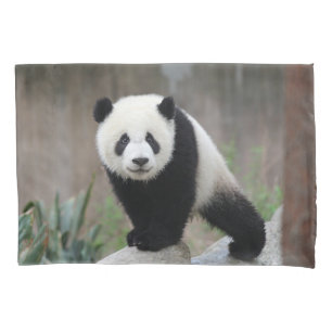 Housse D'oreillers Animaux de bébés cutest   Baby Panda géant