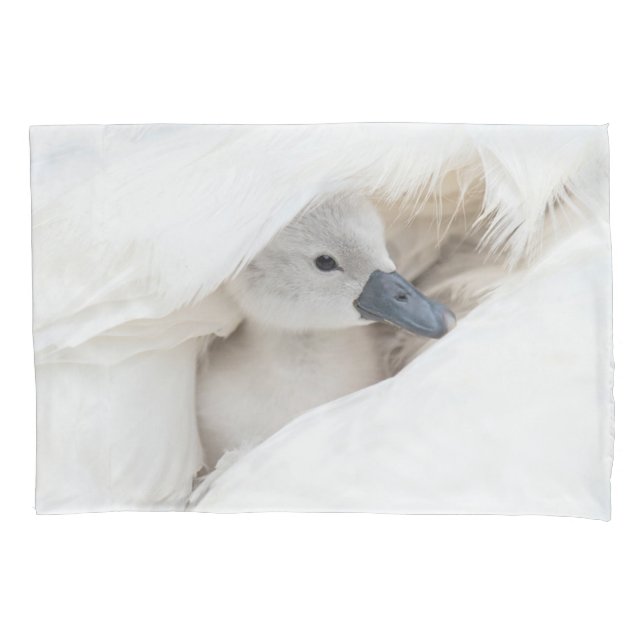 Housse D'oreillers Animaux de bébés cutest | Bébé Mute Swan (devant)