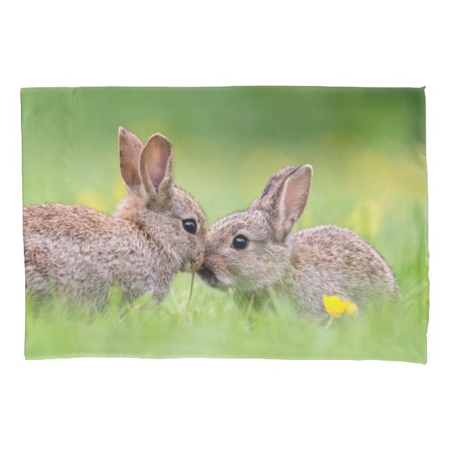 Housse D'oreillers Animaux de bébés cutest | Bunny Kiss (devant)