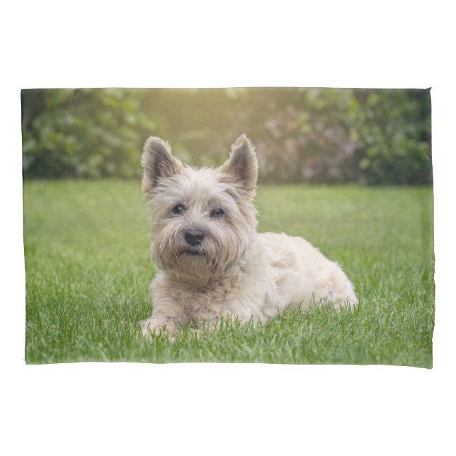 Housse D'oreillers Animaux de bébés cutest | Cairn Terrier Dog (devant)