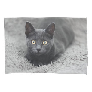 Housse D'oreillers Animaux de bébés cutest Chat gris