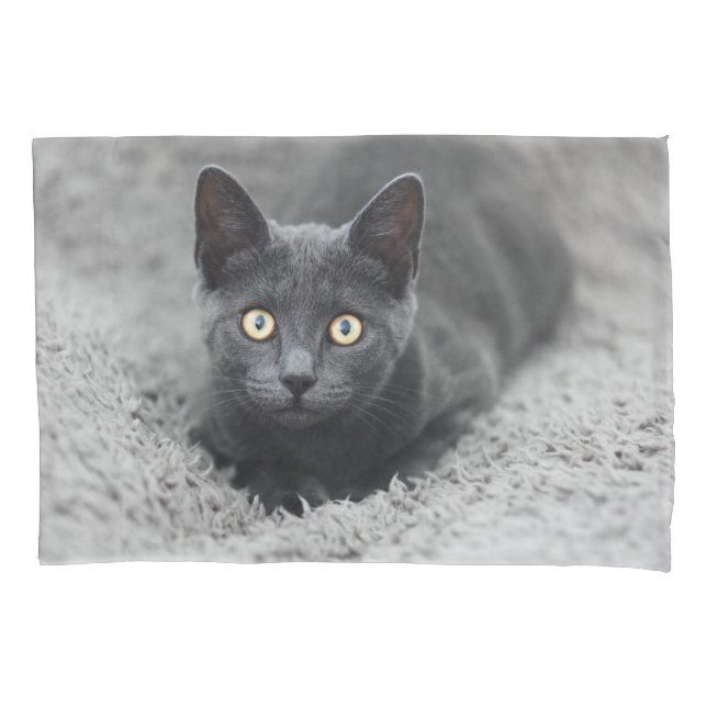 Housse D'oreillers Animaux de bébés cutest | Chat gris (devant)