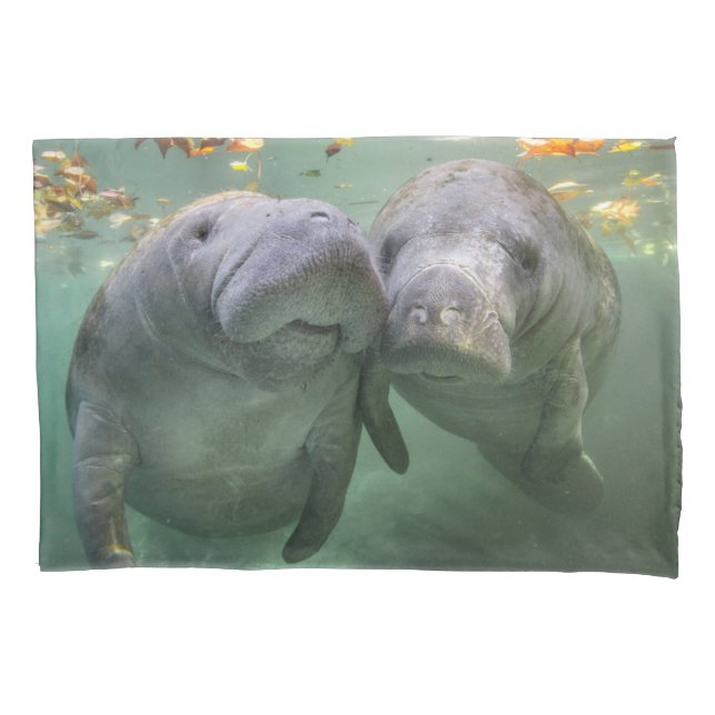 Housse D'oreillers Animaux de bébés cutest | Deux Manatees (devant)
