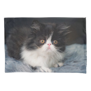 Housse D'oreillers Animaux de bébés cutest   Fluffy B&W Kitten