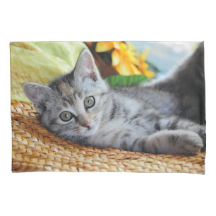 Housse D'oreillers Animaux de bébés cutest Lounge Kitten