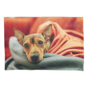 Housse D'oreillers Animaux de bébés cutest Miniature Pinscher