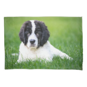Housse D'oreillers Animaux de bébés cutest   Newfoundland Puppy
