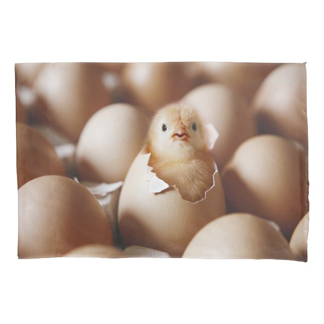 Housse D'oreillers Animaux de bébés cutest | Nouveau bébé poussin (devant)