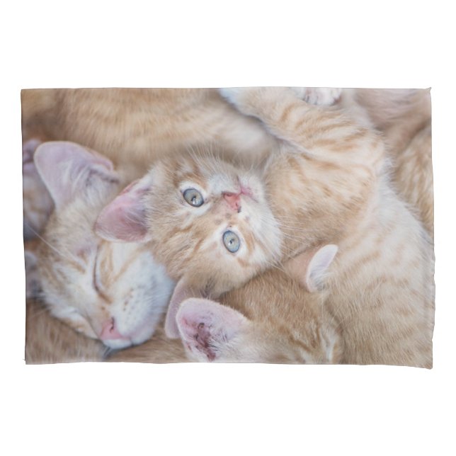 Housse D'oreillers Animaux de bébés cutest | Orange Kitten Pile (devant)