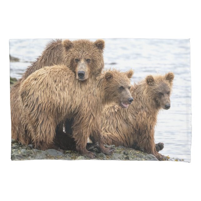 Housse D'oreillers Animaux de bébés cutest | Ours et oursons (devant)