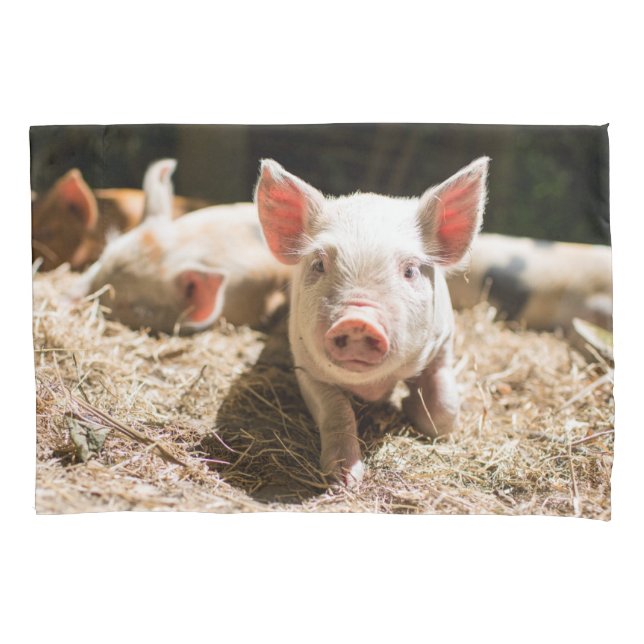 Housse D'oreillers Animaux de bébés cutest | Piglet bébé mignon (devant)