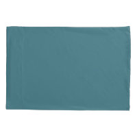 Aqua - Teal - Turquoise - Blue-Green Solid Color