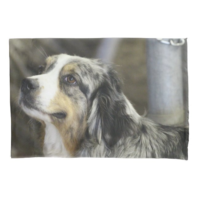 Housse D'oreillers Aussie (devant)